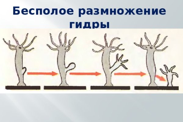 Аутентификатор кракен