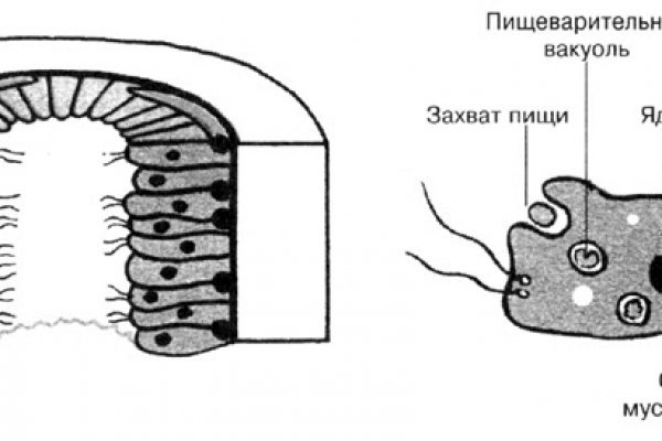 Ссылка адрес на кракен
