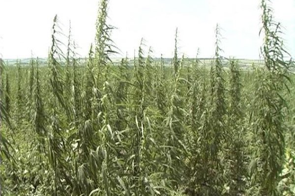 Кракен даркнет площадка ссылка