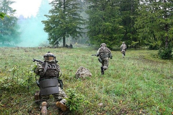 Сайт кракен тор браузера