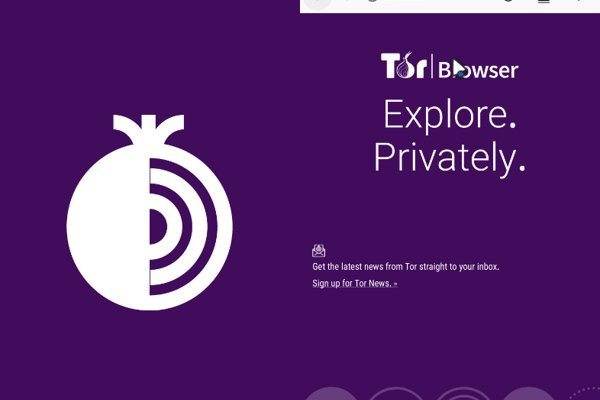 Даркнет маркет кракен onion