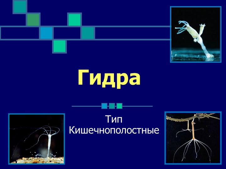 Кракен сбой
