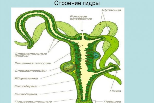Взломали аккаунт кракен